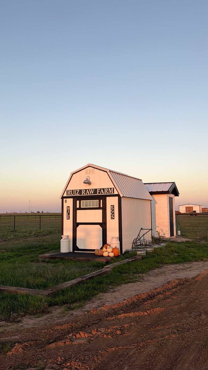 The white and black Ruiz Raw Farm milk and eggs stand at sunset in Shallowater, Texas
